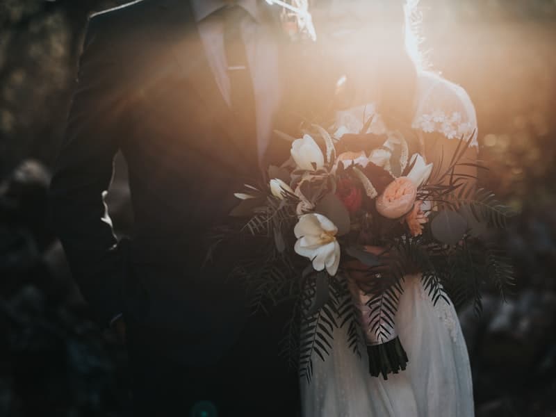Pre Matrimonial Investigation